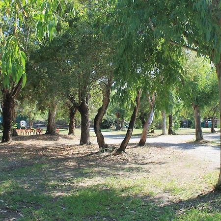 Villaggio Camping Maratea Exterior foto